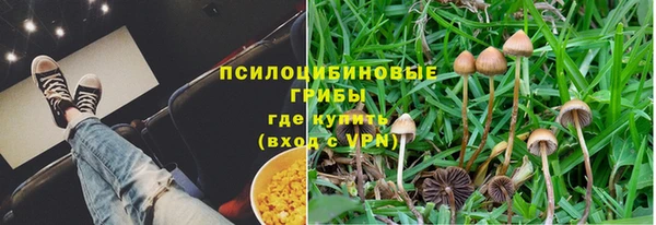 Альфа ПВП Белокуриха