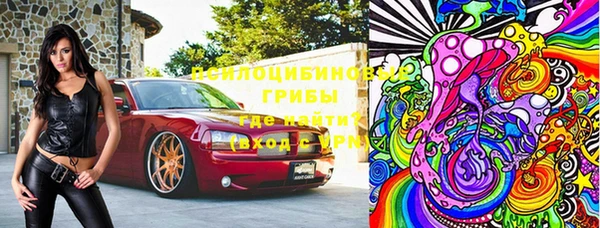 Альфа ПВП Белокуриха